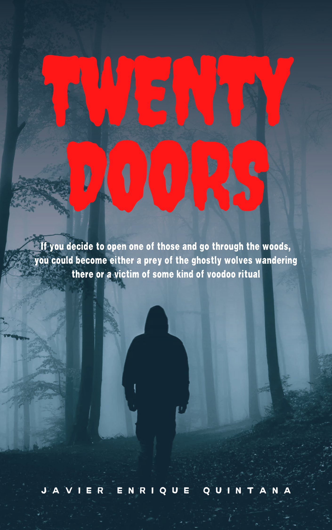TWENTY DOORS